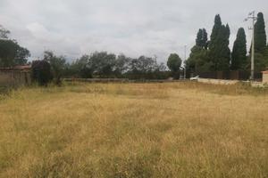 Adiacenze via di Borghesiana, terreno con servizi