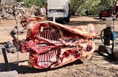 Super spiedo in acciaio inox