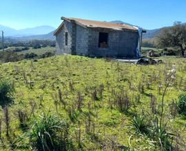 Terreno con ricovero attrezzi e mezzi