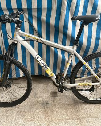 Bici mtb