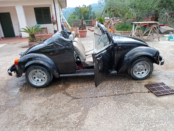 Volkswagen maggiolino auto