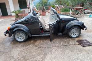 Volkswagen maggiolino auto