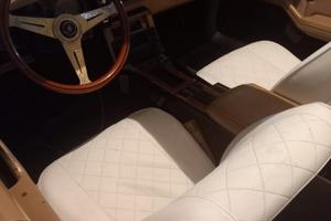 Johnson Pontiac Phantom