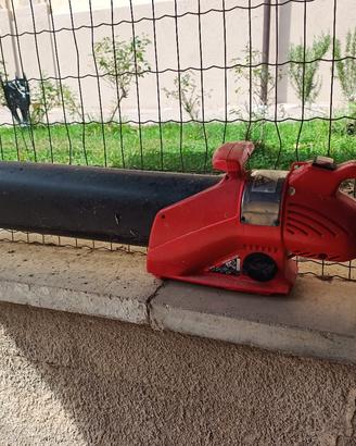 soffiatore 220 volt