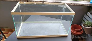 acquario 60 litri 