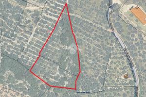 TER. AGRICOLO A SPELLO