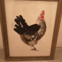 Quadro Ikea