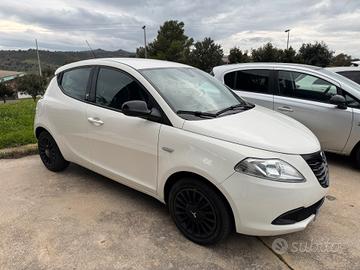 Lancia Ypsilon 1.2 69 CV 5 porte Elefantino