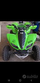 Kawasaki Altro modello - 2007