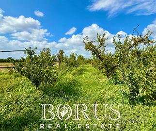 3210 mq in località Truocciolo MM4