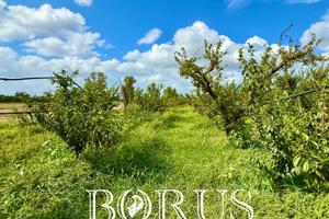 3210 mq in località Truocciolo MM4