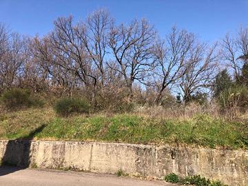 Terreno Agricolo Cosenza [Cod. rif 3175082VRG]