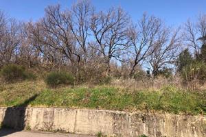Terreno Agricolo Cosenza [Cod. rif 3175082VRG]
