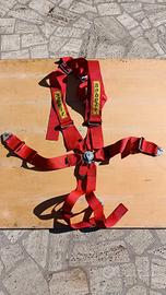 Cintura Sabelt 6 punti 