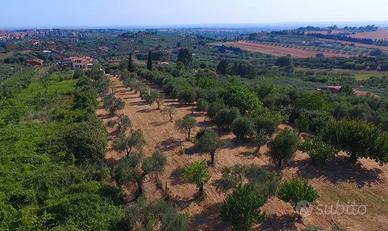 Terreno Fonte Nuova (RM)