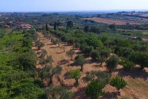 Terreno Fonte Nuova (RM)