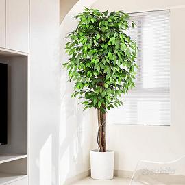 Keeplush Ficus Artificiale Pianta (b3)