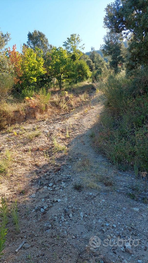 Ampio terreno agricolo con Rudere - Altro