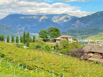 Terreno di 4780 m² a Nogaredo