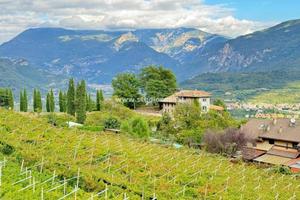 Terreno di 4780 m² a Nogaredo
