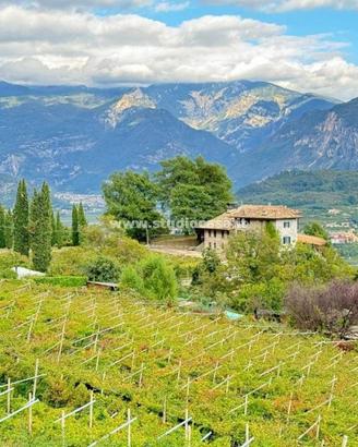 Terreno di 4780 m² a Nogaredo
