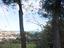 Immagine 23