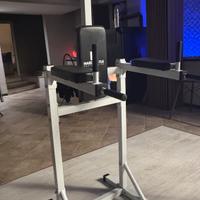 Palestra home gym