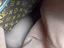 Immagine 6