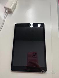 ipad mini