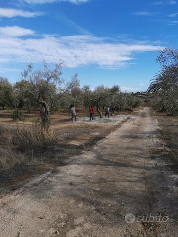 Terreno pozzo