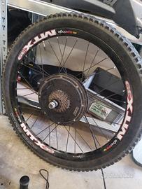 bici elettrica 