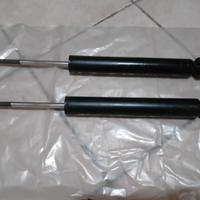 Ammortizzatori posteriori Smart 451