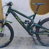 bici enduro downhill