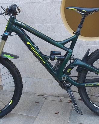 bici enduro downhill