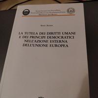 La tutela dei diritti umani [...] Silvia Angioi