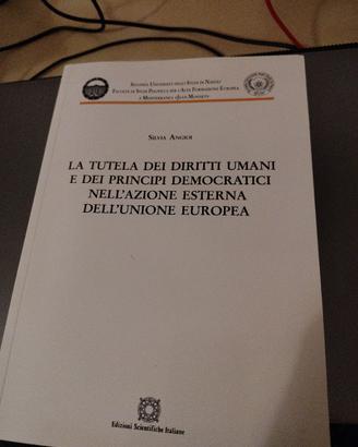 La tutela dei diritti umani [...] Silvia Angioi