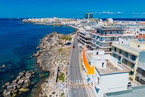 Terracielo fronte mare in posizione centralissima
