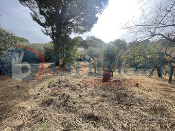 Terreno Agricolo Rometta [0681-11VCG]