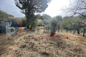 Terreno Agricolo Rometta [0681-11VCG]