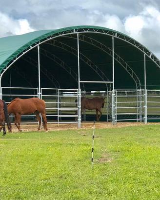 Ripari per il bestiame 12x12 m