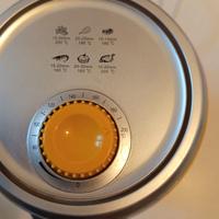 Friggitrice ariete