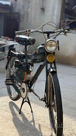 bianchi aquilotto
