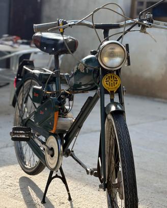 bianchi aquilotto