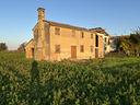 conselve-casa-singola-da-ristrutturare-rif-occs97