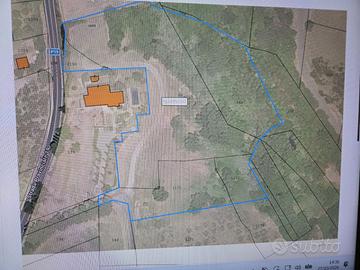 Terreno 14000 mq Chianciano
