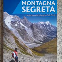 Libro Montagna segreta di D. Vaschetto - usato