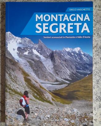 Libro Montagna segreta di D. Vaschetto - usato