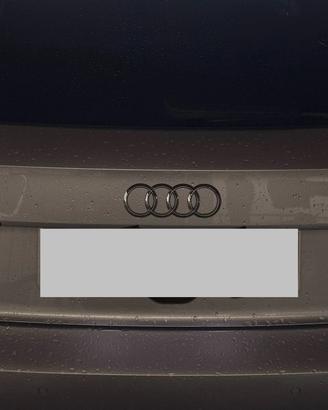 Fanali Posterori Audi A3 8v alogeni originali