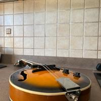 Mandolino Amplificato