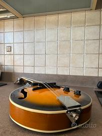 Mandolino Amplificato